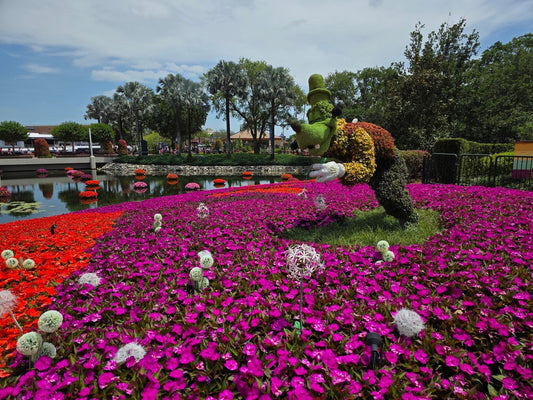 Goofy topiary at the Epcot International Flower & Garden Festival