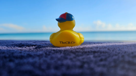 Baseball cap duck being held in front of a beach at sunrise
