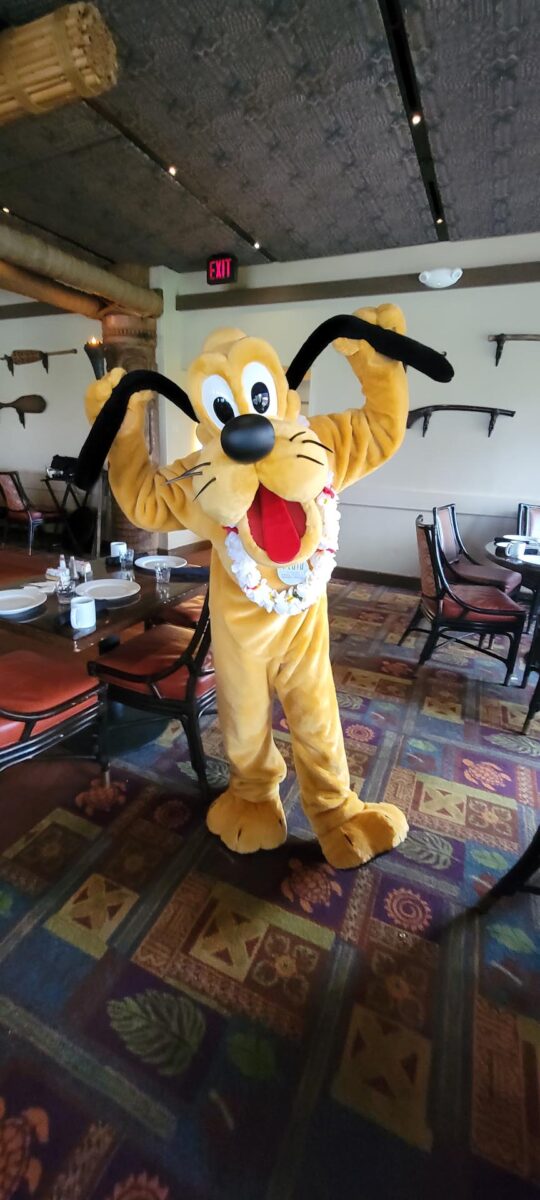 Pluto at ‘Ohana restaurant