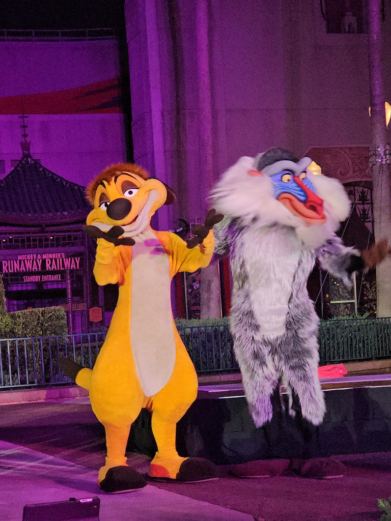 Timon and Rafiki at Disney’s Hollywood Studios
