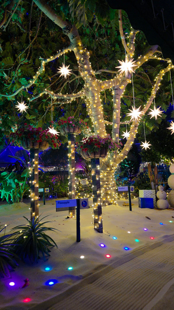 Living with the Land: Glimmering Greenhouses