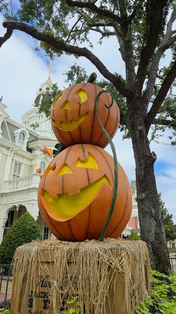 Pumpkins at Magic Kingdom