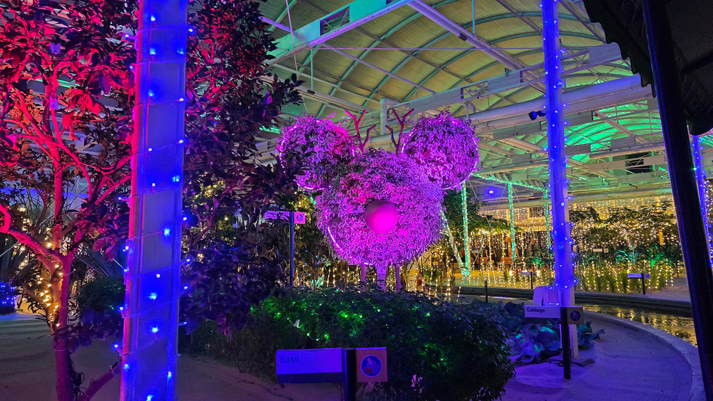 Living with the Land: Glimmering Greenhouses