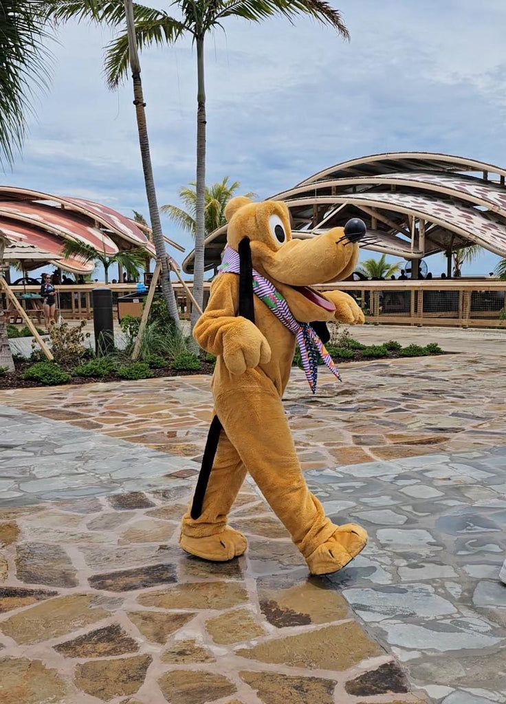 Pluto wearing his Lookout Cay at Lighthouse Point outfit