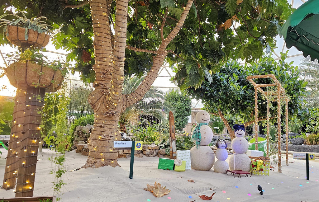 Living With the Land with Holiday decorations