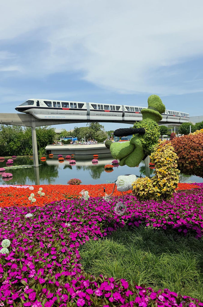 Goofy topiary with the monorail in the background at the Epcot International Flower & Garden Festival
