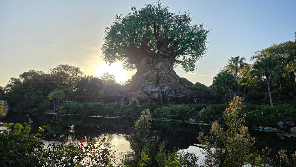 Tree of Life at Disney’s Animal Kingdom