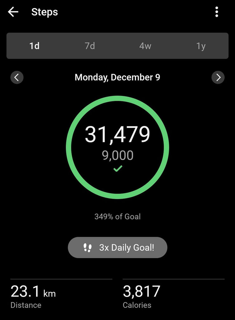 step count for Monday December 9th 2024 showing 31, 479 steps