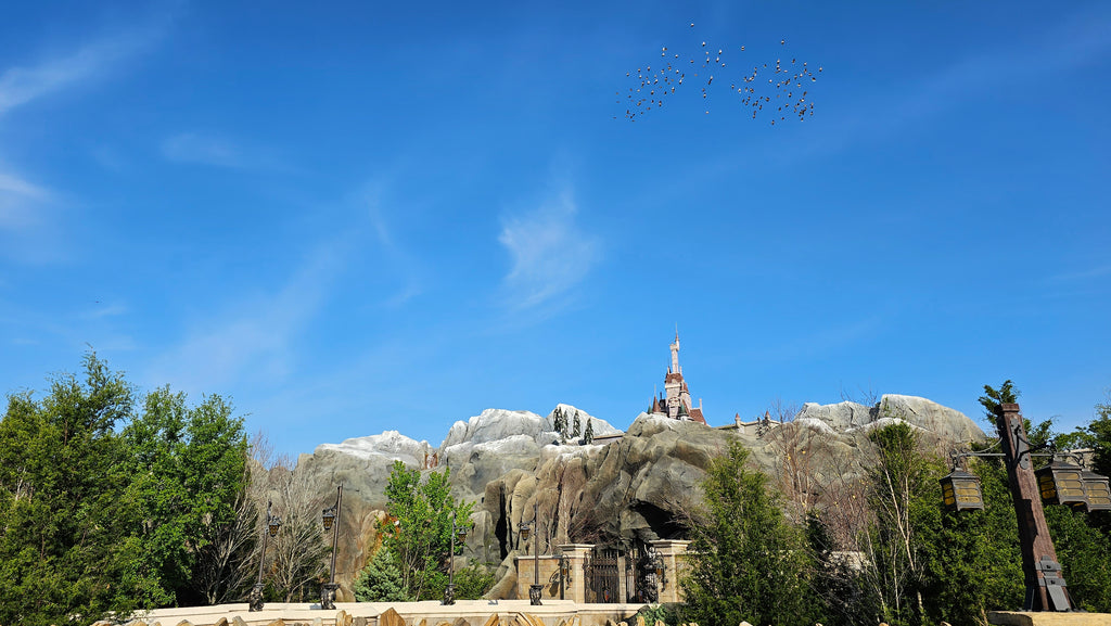Beast’s castle in the Magic Kingdom