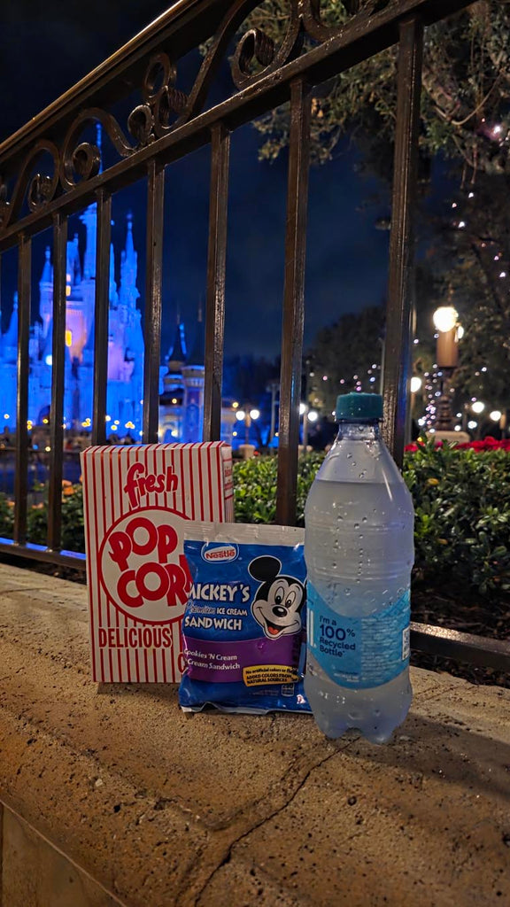 Popcorn, Mickey Ice Cream sandwich and a bottle of water with Cinderella Castle in the background