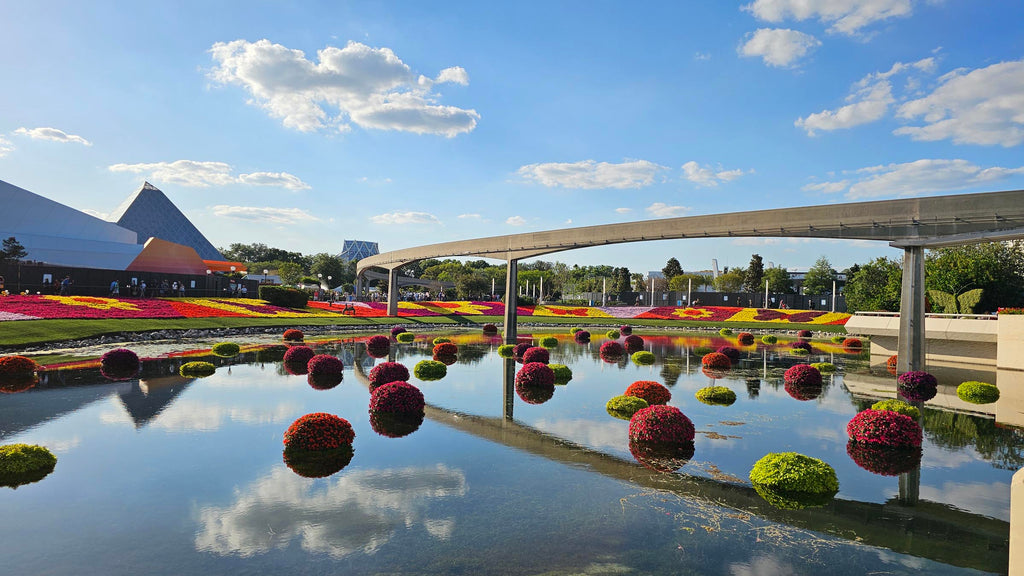 Flowers from Epcot’s International Flower and Garden Festival