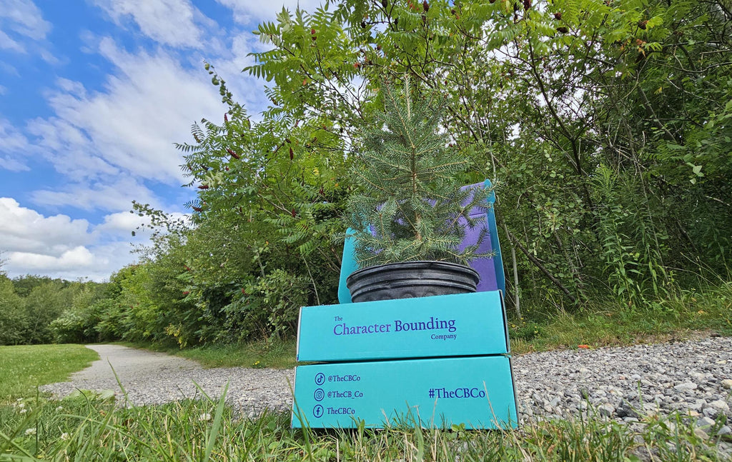 TheCB.Co boxes with a tree growing out of it in front of a wall of trees