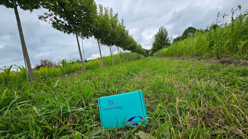 A bounding box in the grass with lines of trees in the background