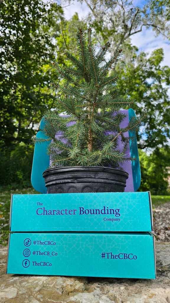 tree growing out of TheCB.Co’s bounding box with more trees in the background