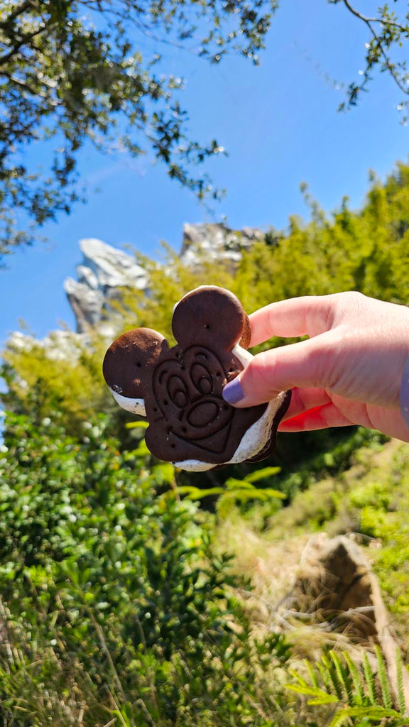 Mickey Ice Crea Sandwich in front of Expedition Everest