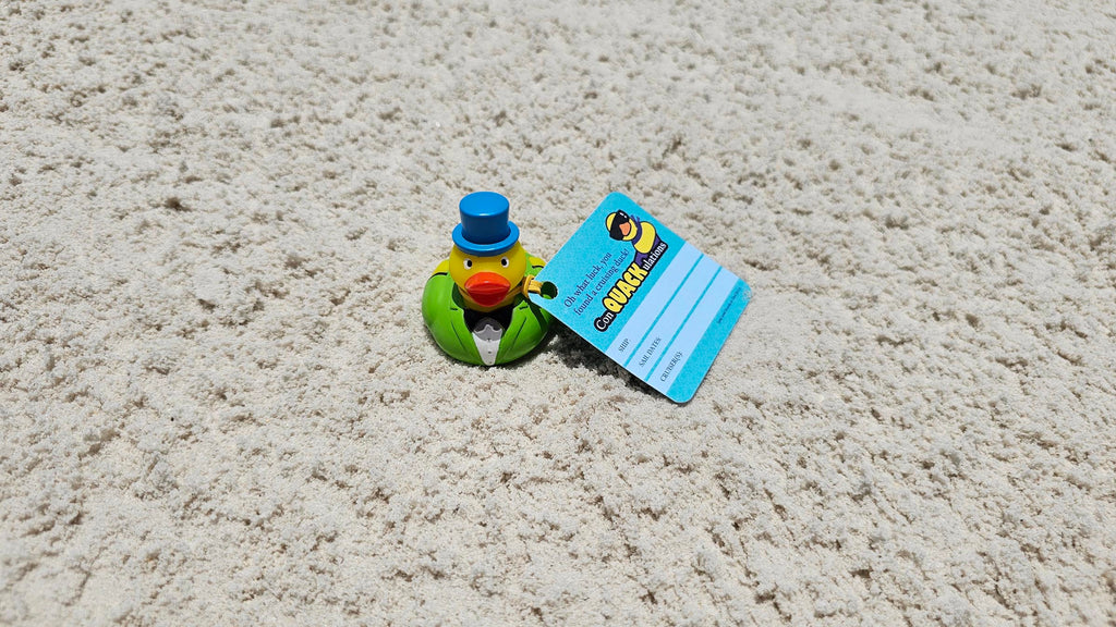 Tuxedo duck with tag on sand