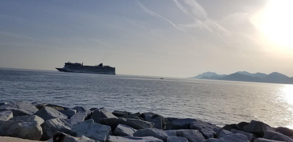cruise ship in the distance